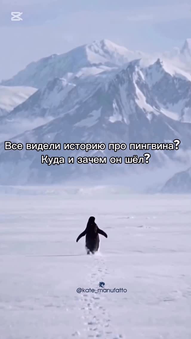 Usabdent — наши пациенты